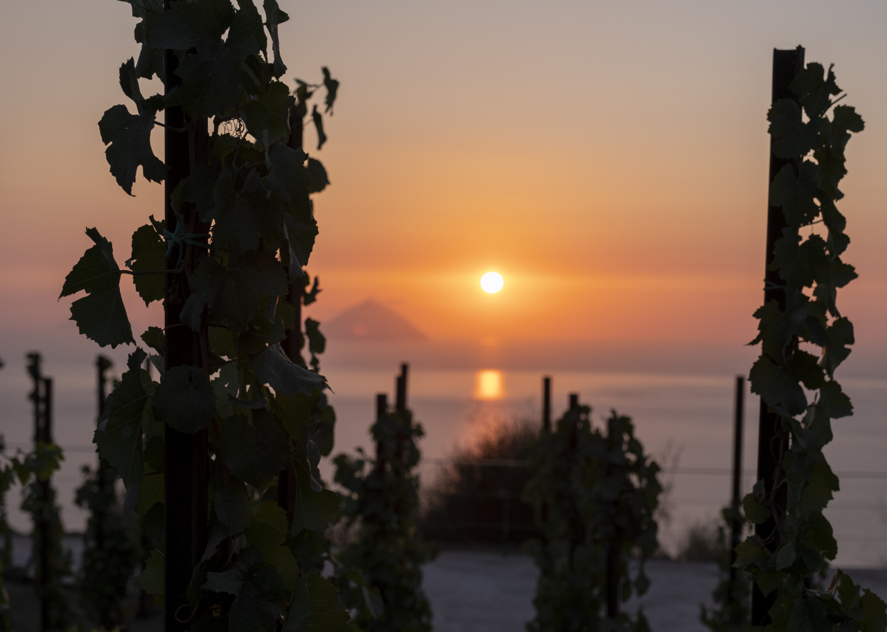 Thank you, 2024… but see you soon in Lipari!