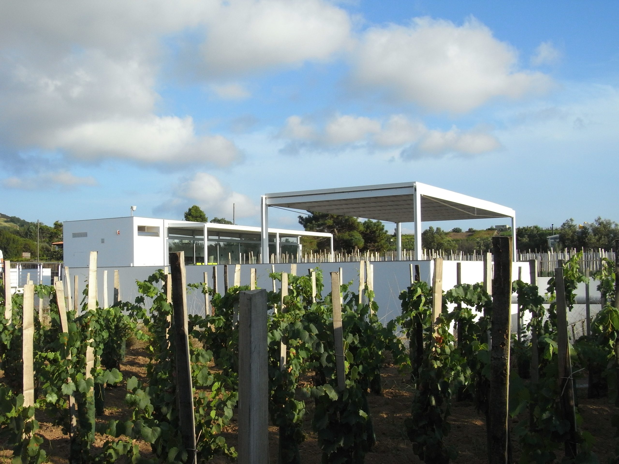 Tenuta di Castellaro: cantina a impatto zero ecosostenibile